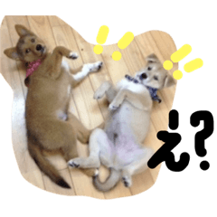 [LINEスタンプ] 波実2