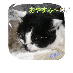 [LINEスタンプ] うちのゆきリン
