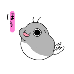 [LINEスタンプ] 海豹の青木さん