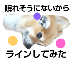 [LINEスタンプ] ポメラニアンDuffy黒と赤 その10