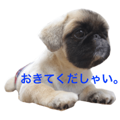 [LINEスタンプ] ぼん蔵