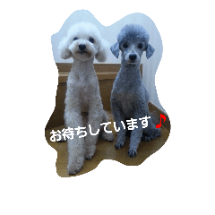 [LINEスタンプ] ポラリス＆サラン2