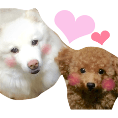[LINEスタンプ] キャンモカ ときどき ホクト