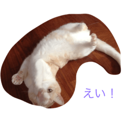 [LINEスタンプ] ジジたん劇場
