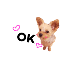 [LINEスタンプ] ノアスタンプ