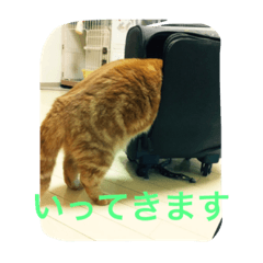[LINEスタンプ] まーくん。