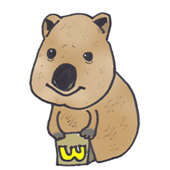 [LINEスタンプ] Kawaii Quokka : Coca's Daily work