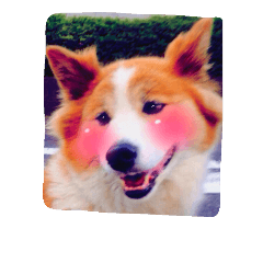 [LINEスタンプ] ふわふわふわろ
