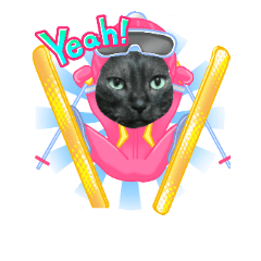 [LINEスタンプ] 猫のとらちゃん