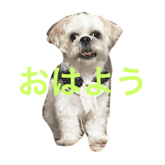 [LINEスタンプ] ジローくん