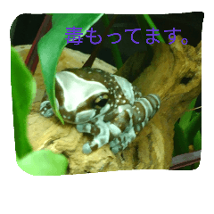 [LINEスタンプ] なまもの