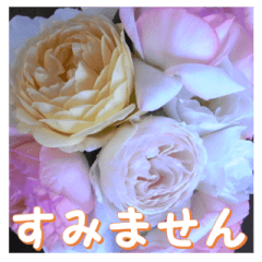 [LINEスタンプ] 薔薇の花♡アソート10_挨拶メッセージ