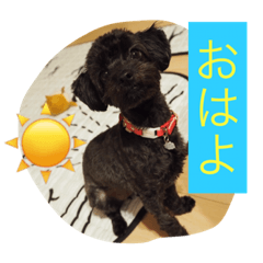 [LINEスタンプ] ちまきちゃん