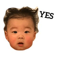 [LINEスタンプ] あお坊のわいわいスタンプ