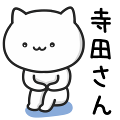 [LINEスタンプ] 寺田(てらだ)さんが使うネコ