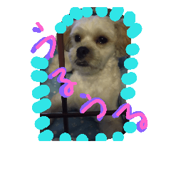[LINEスタンプ] にゃんことマカロン