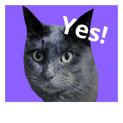 [LINEスタンプ] おすまし猫の日常 1