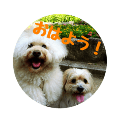 [LINEスタンプ] Luke ＆ Bob