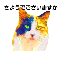 [LINEスタンプ] オトナねこ