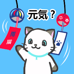 [LINEスタンプ] 雨猫2 ☆夏の生活☆