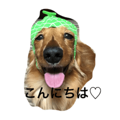 [LINEスタンプ] めいちゃんと一緒