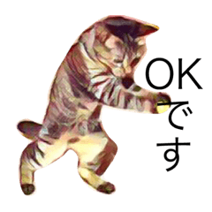 [LINEスタンプ] もかあめ 挨拶