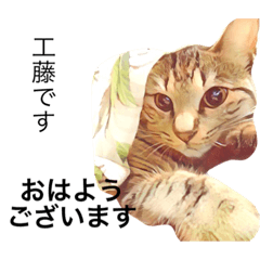 [LINEスタンプ] モカとアメ工藤さん
