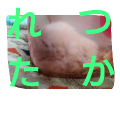 [LINEスタンプ] ハムスターのスタンプです
