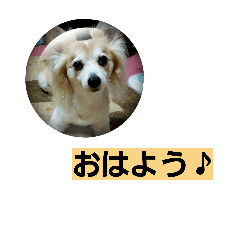 [LINEスタンプ] うちのラブ