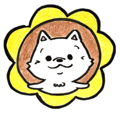 [LINEスタンプ] ポメラニアンのきなこ 挨拶編