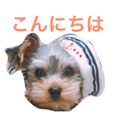 [LINEスタンプ] 美鈴さんのスタンプ