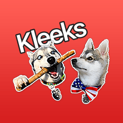 [LINEスタンプ] Franki ＆ Bodhi's Oakland Adventures 1