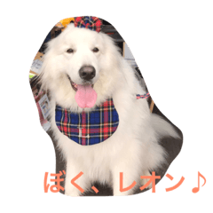 [LINEスタンプ] レオンくんとチョコたん