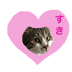 [LINEスタンプ] ♡キキちゃんのおへや♡