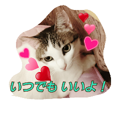 [LINEスタンプ] キャットランド