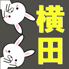 [LINEスタンプ] 超★横田(よこた・ヨコタ)なウサギ