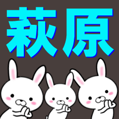 [LINEスタンプ] 超★萩原(はぎわら・はぎはら)なウサギ