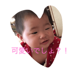 [LINEスタンプ] えふあーるえぬ