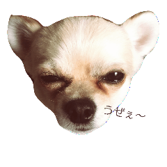 [LINEスタンプ] レンの心の叫び〜♡