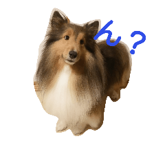 [LINEスタンプ] シェルティのレオンくん