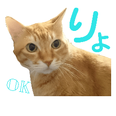 [LINEスタンプ] けだまにゃん