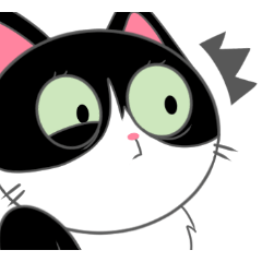 [LINEスタンプ] Suzy the Tuxedo Cat