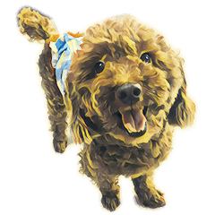 [LINEスタンプ] 犬3！！！マルチーズ トイプードル 柴犬