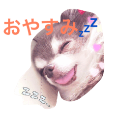 [LINEスタンプ] もえちゃん