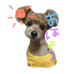 [LINEスタンプ] ちゃちゃ犬