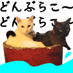 [LINEスタンプ] 黒猫さんと白猫さん 2