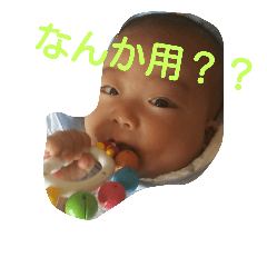 [LINEスタンプ] むむすすここ。