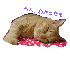 [LINEスタンプ] まっきーまきまき