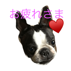 [LINEスタンプ] クレイ＆ボルダー