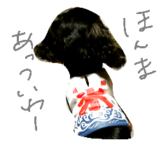 [LINEスタンプ] のんの日常